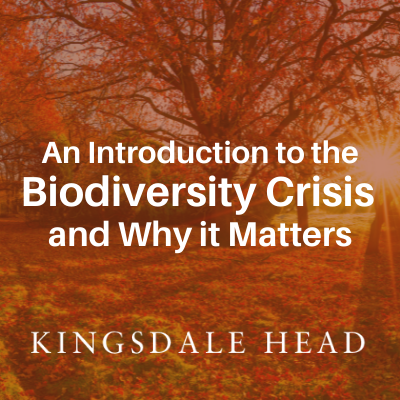 Introduction to Biodiversity