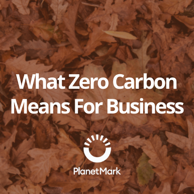 What Zero Carbon Means for Business